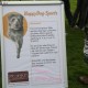 RRS_Fotogalerien_2010-09-19_Event4HappyDogs023