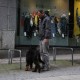 RRS_Fotogalerien_2011-03-13_Stadtagility003