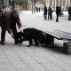 RRS_Fotogalerien_2011-03-13_Stadtagility013