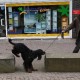 RRS_Fotogalerien_2011-03-13_Stadtagility093