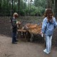 RRS_Fotogalerien_2011-06-26_Wildpark014
