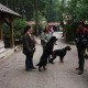 RRS_Fotogalerien_2011-06-26_Wildpark017