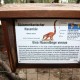 RRS_Fotogalerien_2011-06-26_Wildpark035