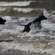 2012-07-29 RRS Holland Hundestrand_121