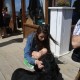 2012-07-29 RRS Holland Hundestrand_155