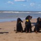 2012-07-29 RRS Holland Hundestrand_192