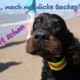 Collage Hanni - dicke Backen - klein