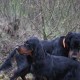 RRS_Fotogalerien_2012-12-16_Weihnachtsspaziergang048