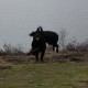 RRS_Fotogalerien_2012-12-16_Weihnachtsspaziergang056