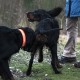 RRS_Fotogalerien_2012-12-16_Weihnachtsspaziergang061