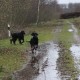 RRS_Fotogalerien_2012-12-16_Weihnachtsspaziergang064