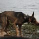 RRS_Fotogalerien_2012-12-16_Weihnachtsspaziergang065