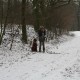 RRS_Fotogalerien_2013-02-23_Pommes-Marsch024