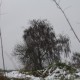 RRS_Fotogalerien_2013-02-23_Pommes-Marsch034
