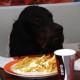 RRS_Fotogalerien_2013-02-23_Pommes-Marsch074
