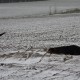 RRS_Fotogalerien_2013-02-23_Pommes-Marsch099