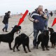 RRS_Fotogalerien_2013-04-14_Kijkduin-Hundestrand012