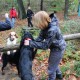RRS_Fotogalerien_2013-11-03_Wald-Agility058