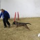 RRS_Fotogalerien_2014-02-15_Indoor-Agility009