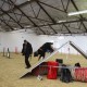 RRS_Fotogalerien_2014-02-15_Indoor-Agility061