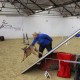 RRS_Fotogalerien_2014-02-15_Indoor-Agility079