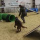 RRS_Fotogalerien_2014-02-15_Indoor-Agility113