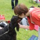 RRS_Fotogalerien_2014-06-19_Hunderennen066