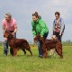 RRS_Fotogalerien_2015-05-17_Rhein-Rennen048
