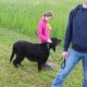 RRS_Fotogalerien_2015-05-17_Rhein-Rennen134