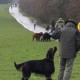 RRS_Fotogalerien_2015-12-31_Silvesterspaziergang035