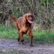 RRS_Fotogalerien_2015-12-31_Silvesterspaziergang042