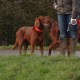 RRS_Fotogalerien_2015-12-31_Silvesterspaziergang074