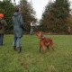 RRS_Fotogalerien_2015-12-31_Silvesterspaziergang079