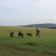 RRS_Fotogalerien_2015-12-31_Silvesterspaziergang154