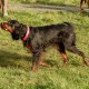 RRS_Fotogalerien_2015-12-31_Silvesterspaziergang192