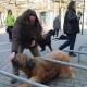 RRS_Fotogalerien_2016-02-28_Stadtagility024