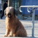 RRS_Fotogalerien_2016-02-28_Stadtagility027