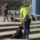 RRS_Fotogalerien_2016-02-28_Stadtagility033