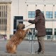 RRS_Fotogalerien_2016-02-28_Stadtagility051