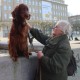 RRS_Fotogalerien_2016-02-28_Stadtagility079