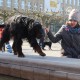 RRS_Fotogalerien_2016-02-28_Stadtagility087