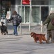 RRS_Fotogalerien_2016-02-28_Stadtagility097
