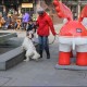 RRS_Fotogalerien_2016-02-28_Stadtagility125