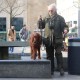 RRS_Fotogalerien_2016-02-28_Stadtagility128