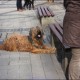 RRS_Fotogalerien_2016-02-28_Stadtagility175