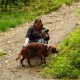 RRS_Fotogalerien_2016-05-22_Kasbachtal017