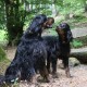 RRS_Fotogalerien_2016-05-22_Kasbachtal034