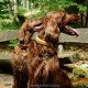 RRS_Fotogalerien_2016-05-22_Kasbachtal039
