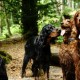 RRS_Fotogalerien_2016-05-22_Kasbachtal040