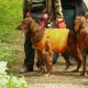 RRS_Fotogalerien_2016-05-22_Kasbachtal049